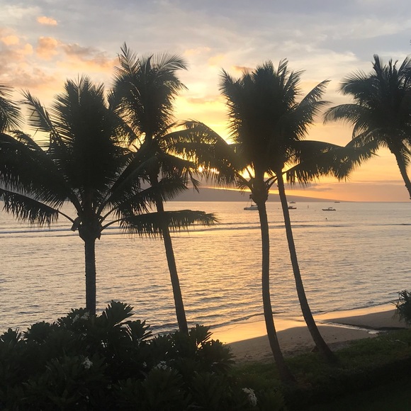 Meet your Posher, Carly - Picture 1 of 1